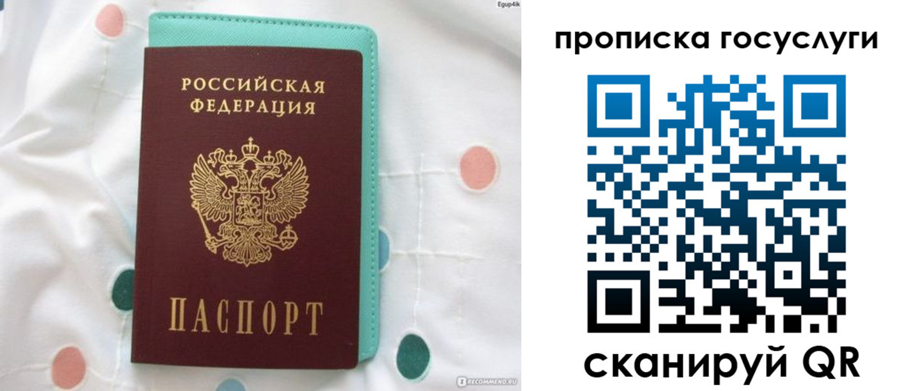 прописка поиск в Плавске